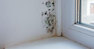 Damp Problems Caused by Condensation